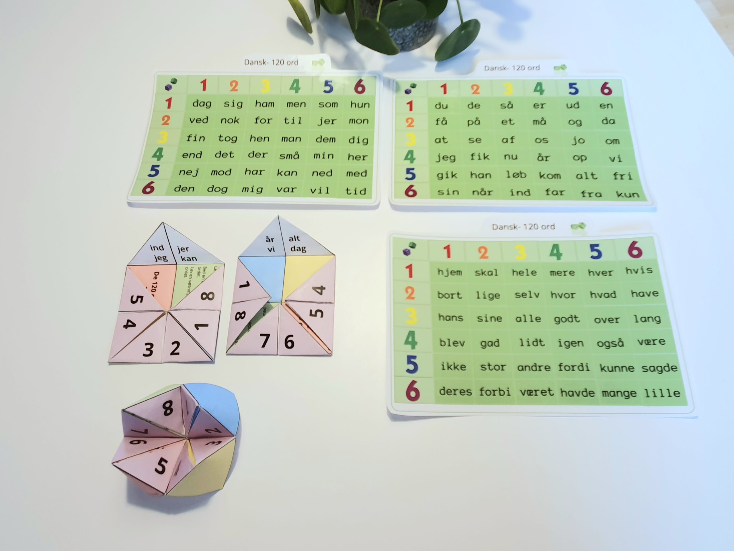 120 ord - 5 læringsspil (Print selv)
