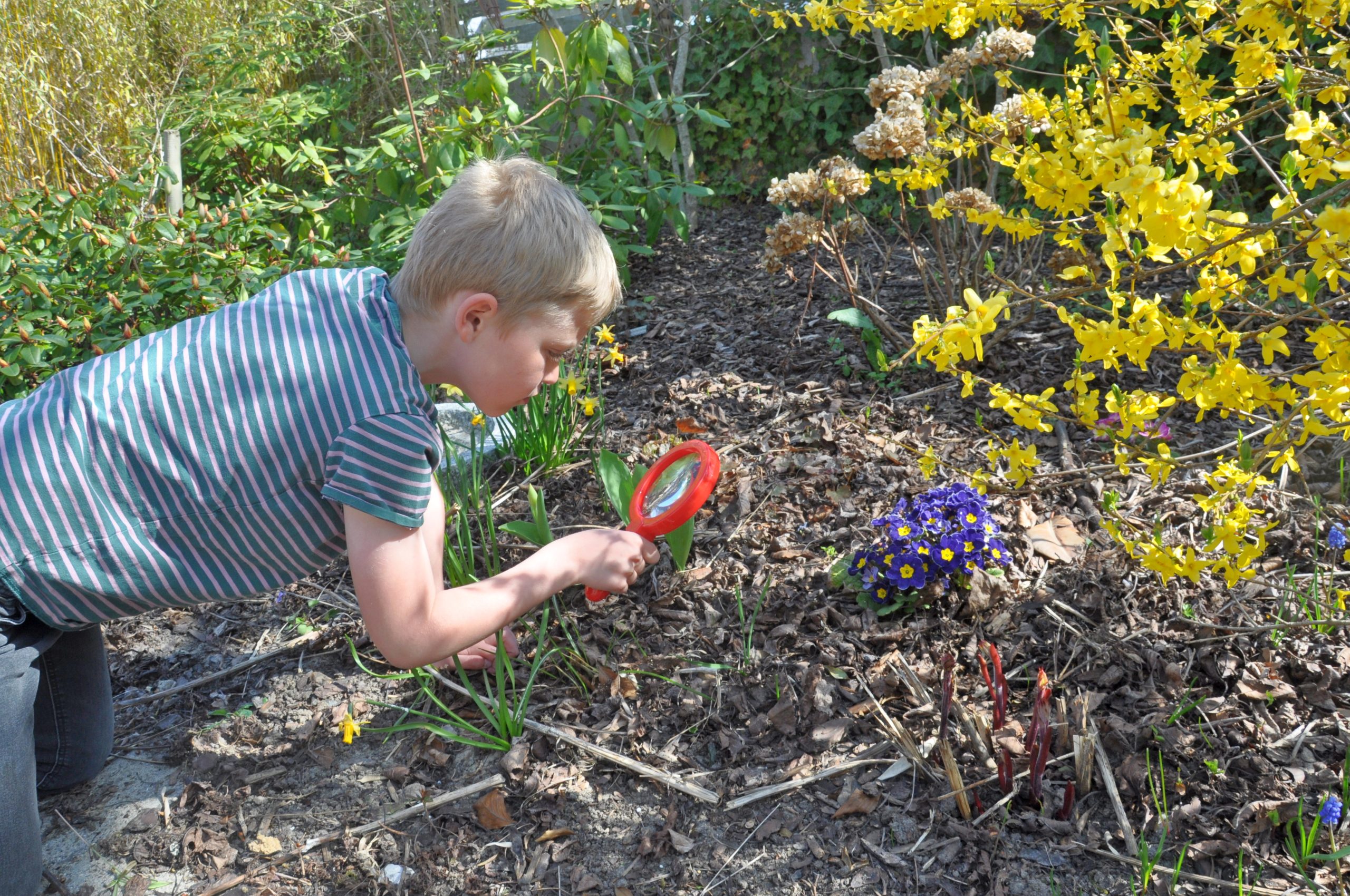 Undersøg naturen - pakke