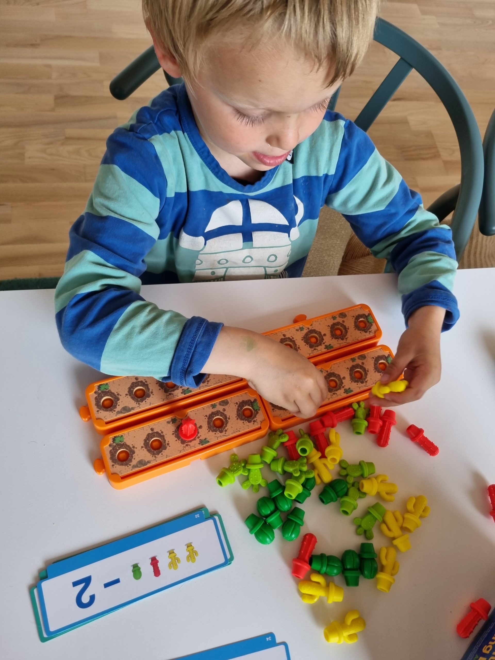 Tæl og regn med kaktusser