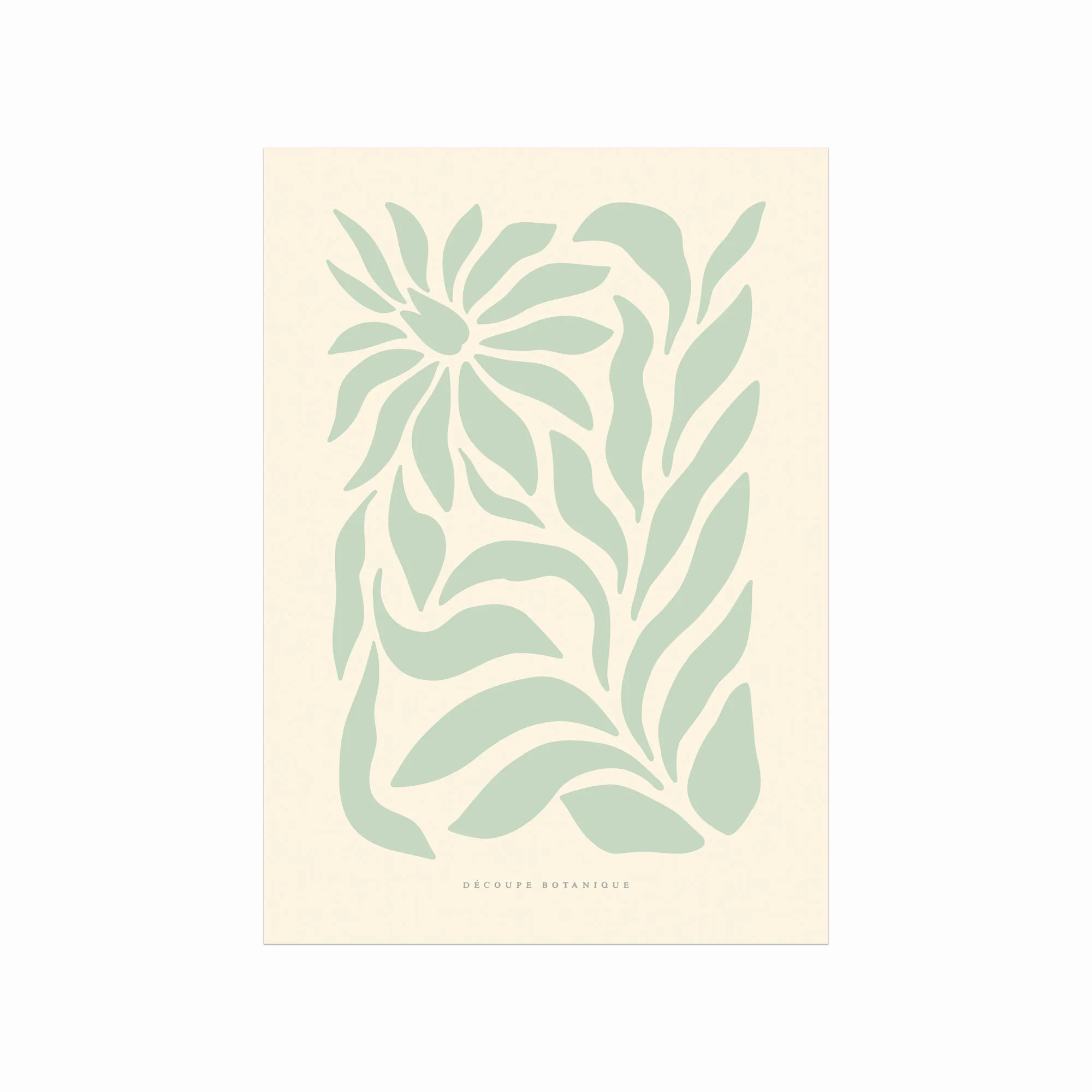 Découpe Botanique 03