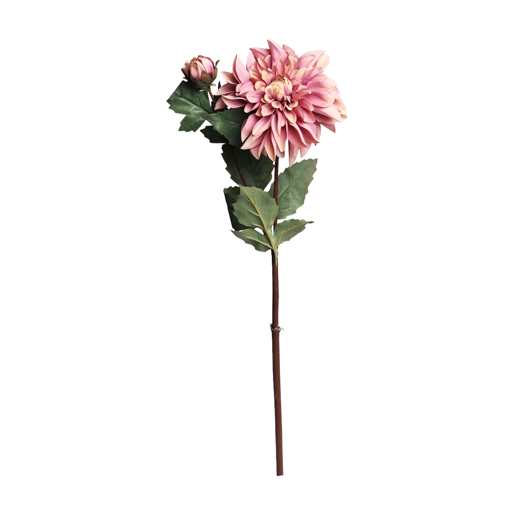 FLEUR Dahlia gammel rosa