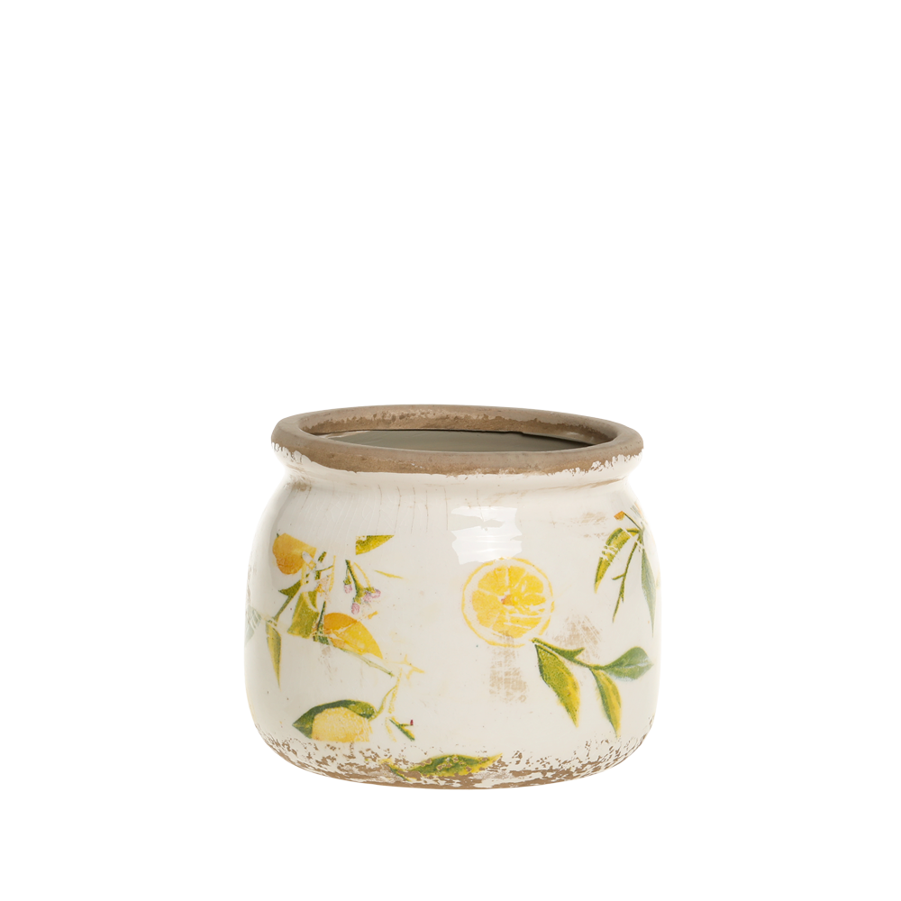 LIMONE krukke m. citroner mini