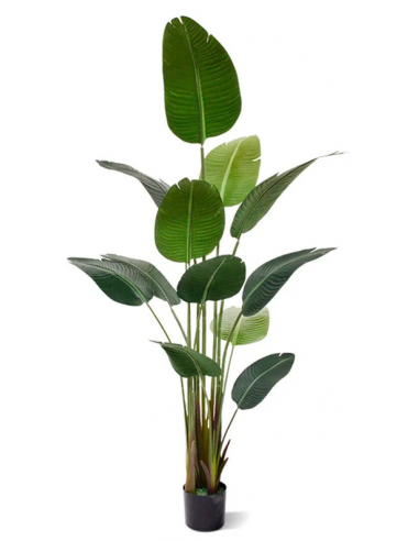 Stor kunstig paradisfugl H180 cm