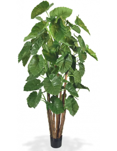 Stor kunstig Alocasia H210 cm