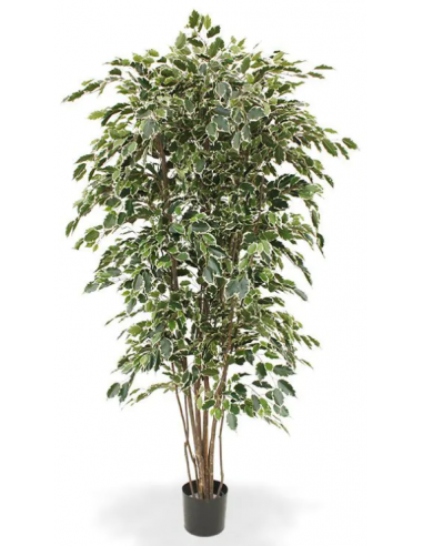 Stort kunstigt Ficus træ H210 cm