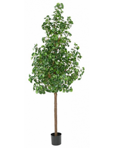 Stort kunstigt Ginkgo Bilboba træ H290 cm - Grøn