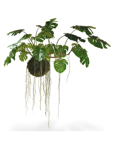Stor Monstera kunstig moskugle lian 110 - 160 cm - Grøn