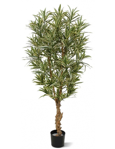 Stor kunstig Draceana plante H150 cm - Grøn