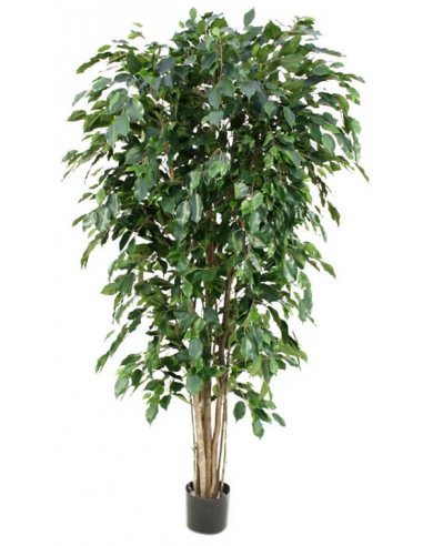 Stor kunstig Ficus plante brandhæmmende H180 cm - Grøn