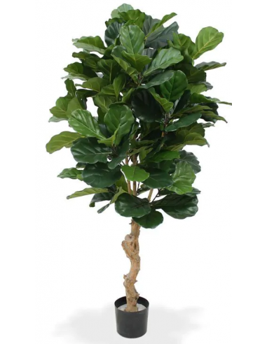 Stor kunstig Lyrata plante H160 cm - Grøn
