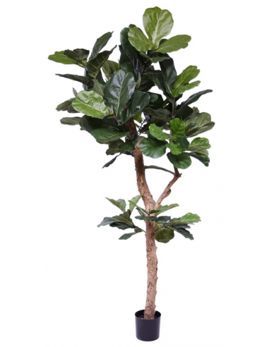 Stor kunstig Lyrata plante H210 cm - Grøn