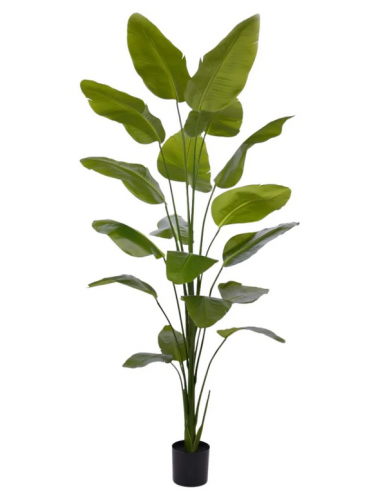 Stor kunstig Strelitzia plante H225 cm - Grøn