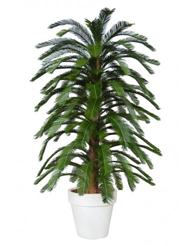 Stort kunstigt Cycas Florida træ med potte H230 cm