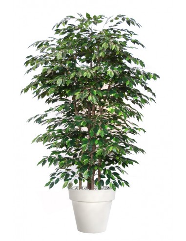 Stor kunstig Ficus Exotica plante med potte H220 cm