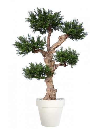 Stort kunstigt Pom Pom Oliventræ med potte H190 cm