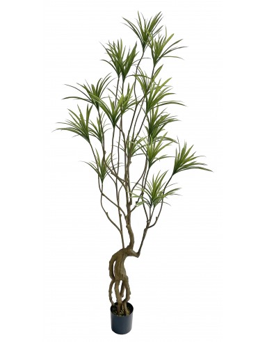 Stort kunstigt Dracanea træ H250 cm