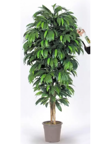 Stort kunstigt mangotræ H225 cm