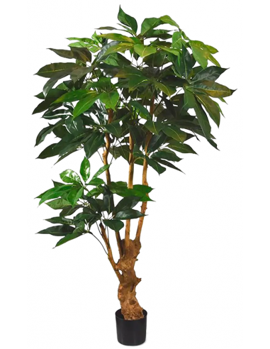 Kunstigt Schefflera Actoniphylla træ H165 cm