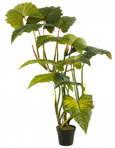 Kunstig Colocasia plante H175 cm