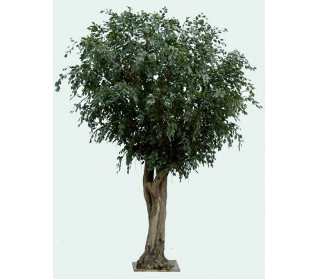 Stort kunstigt Ficustræ H650 cm