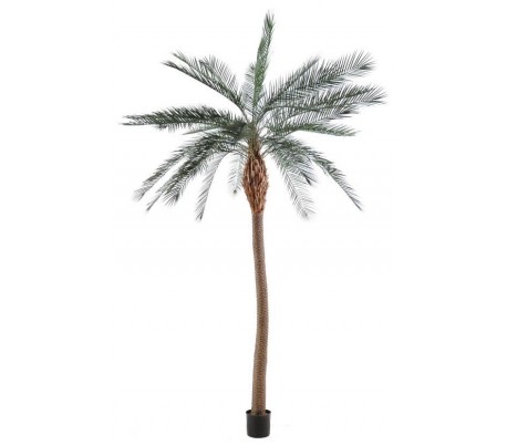 Stor kunstig Phoenix palmetræ H340 cm