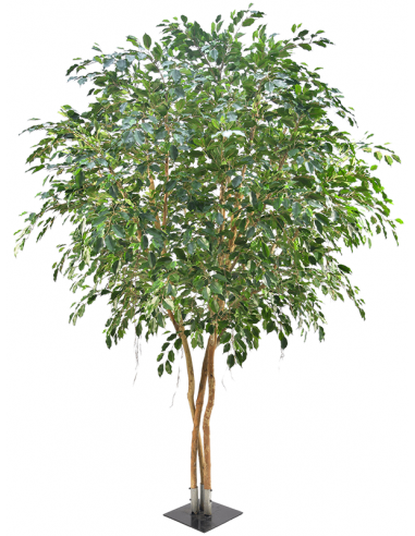 Kunstigt Ficus Exotica træ H400 cm