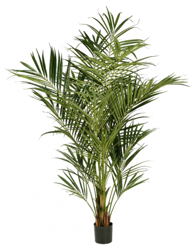 Kunstig Kentia palme H225 cm