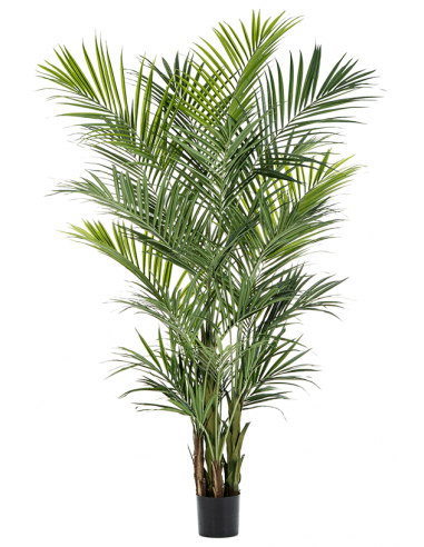 Kunstig Kentia palme H260 cm