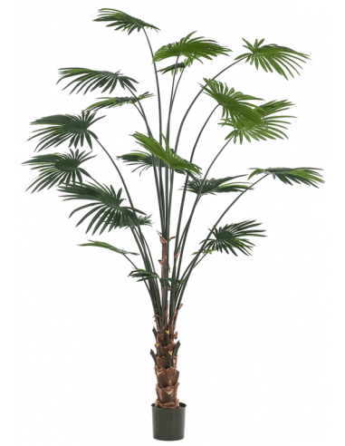 Kunstig Livistona palme H240 cm