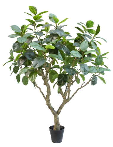 Kunstigt Ficus botanica træ H240 cm