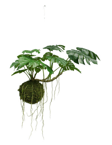 Kunstig hænge Monstera deluxe plante Ø60 cm