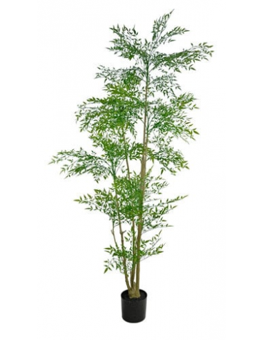 Kunstig Ruscus plante H210 cm