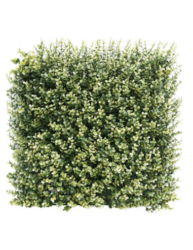 BOXWOOD Kunstig plantevæg 50 x 50 cm - UV