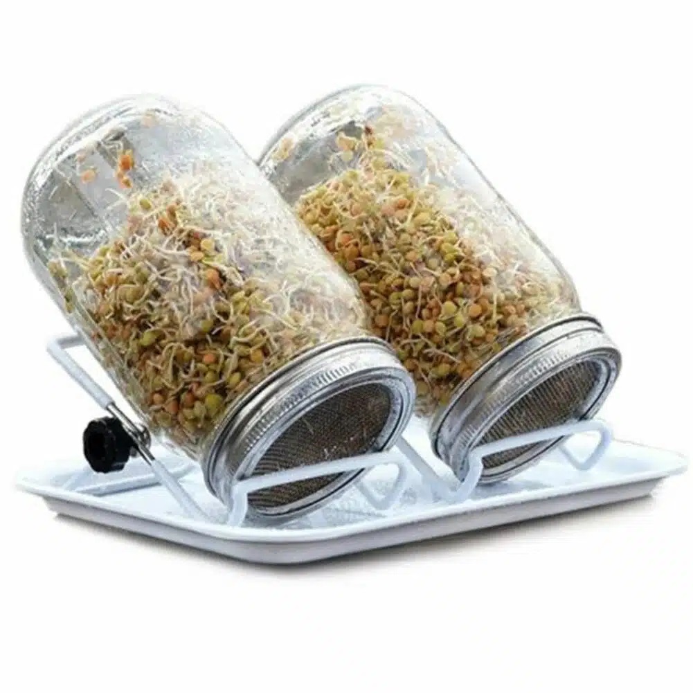 SpireGlas 2 x 0,5L Mason m. rustfrit net, stativ og bakke