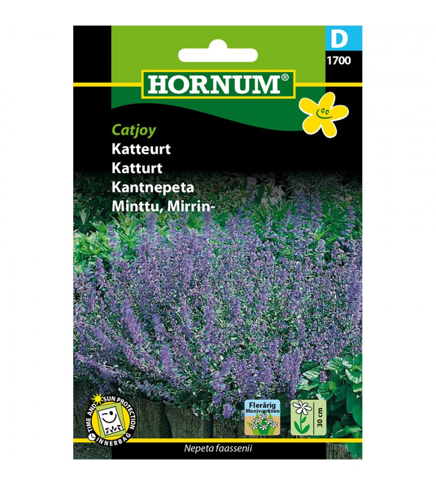 Katteurt - catjoy, frø - Kattemynte (D) Hornum