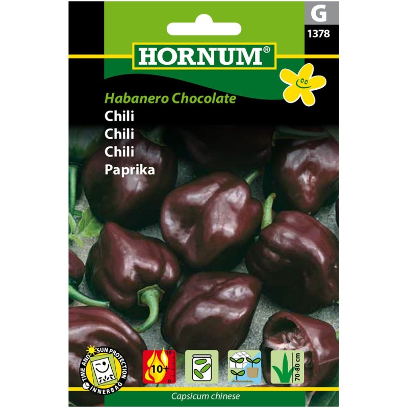 Habanero Chocolate - chili frø