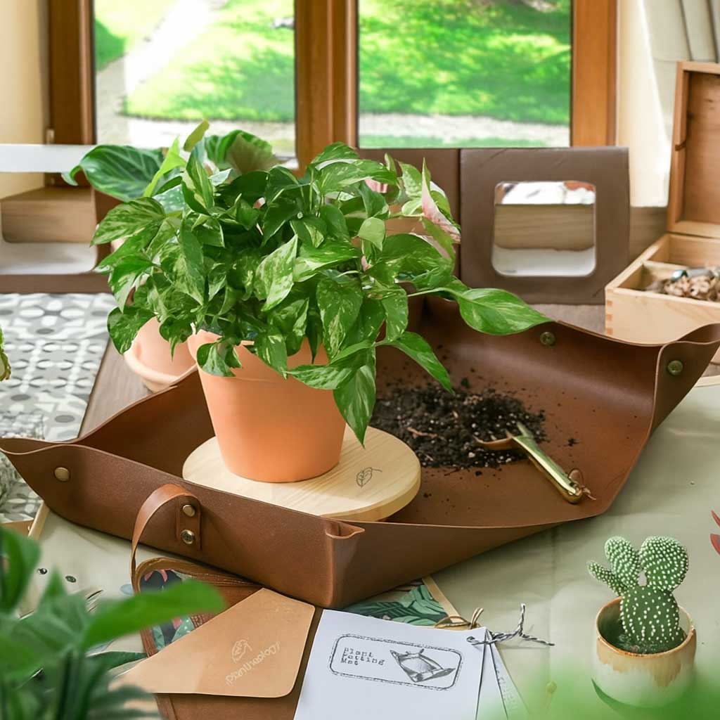 Foldebar ompotnings bakke