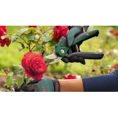 Bosch EasyPrune Secateur Elektrisk