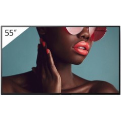 Sony 55" Pro BRAVIA LCD 700nit Haze