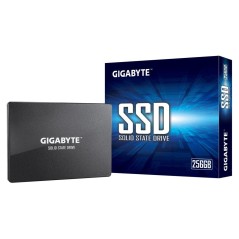 Gigabyte Internal Solid State Drive