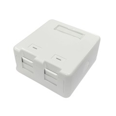 Lanview Surface mount box for 2 x
