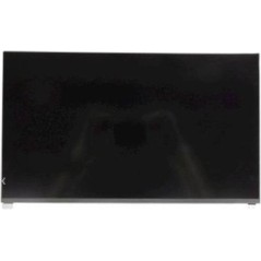 Dell 15.6-inch Full HD LCD display