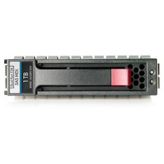 Hewlett Packard Enterprise 1TB HDD 7200RpM 3,5 Inch