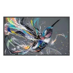 Philips 86" Direct LED 4K Display,