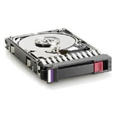 Hewlett Packard Enterprise HDD/250GB 7.2k Ety 3.5" SATA
