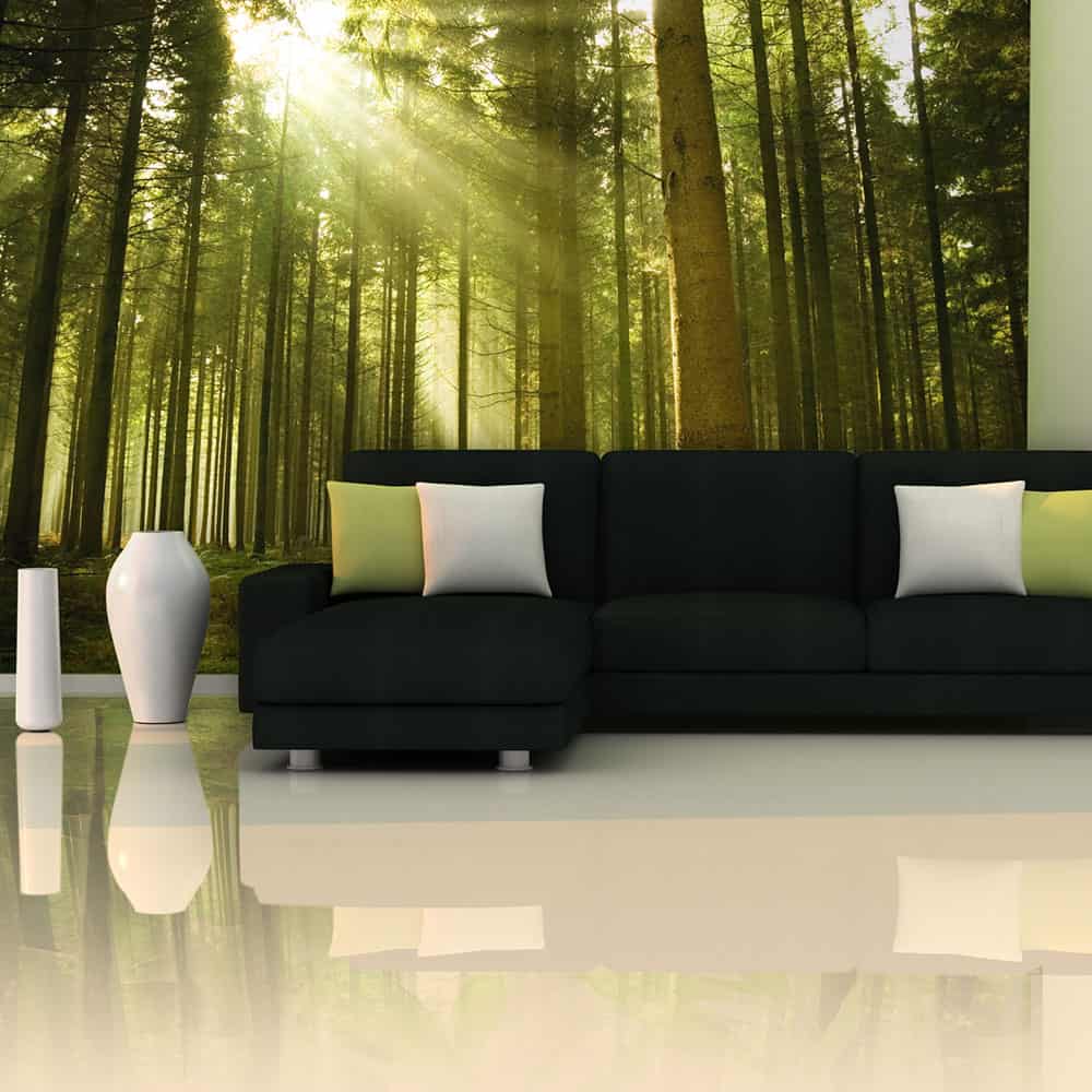 Fototapet Skov af fyrtræer