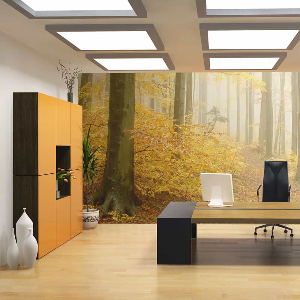 Fototapet Skov - efterår