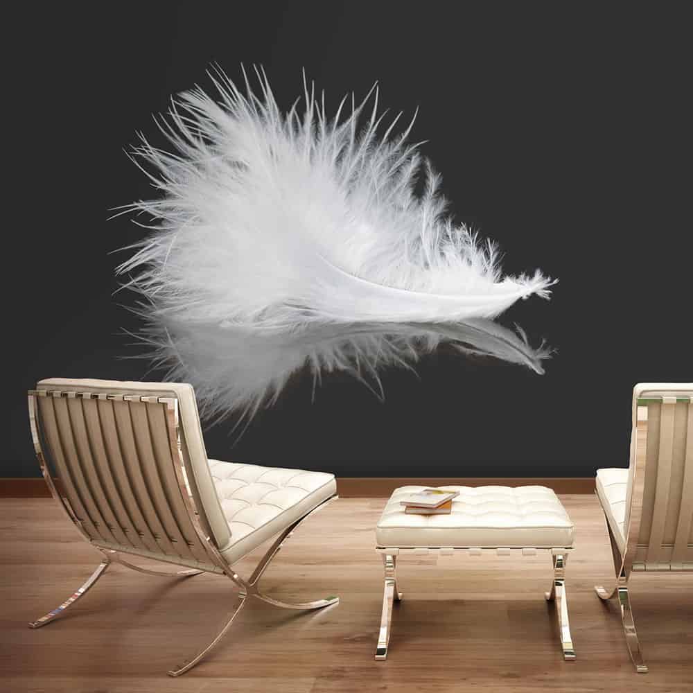 Fototapet White feather