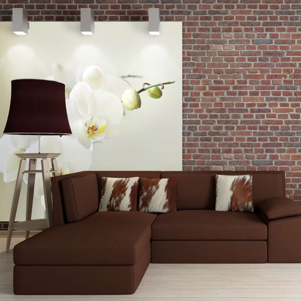 Fototapet Hvid orkidé