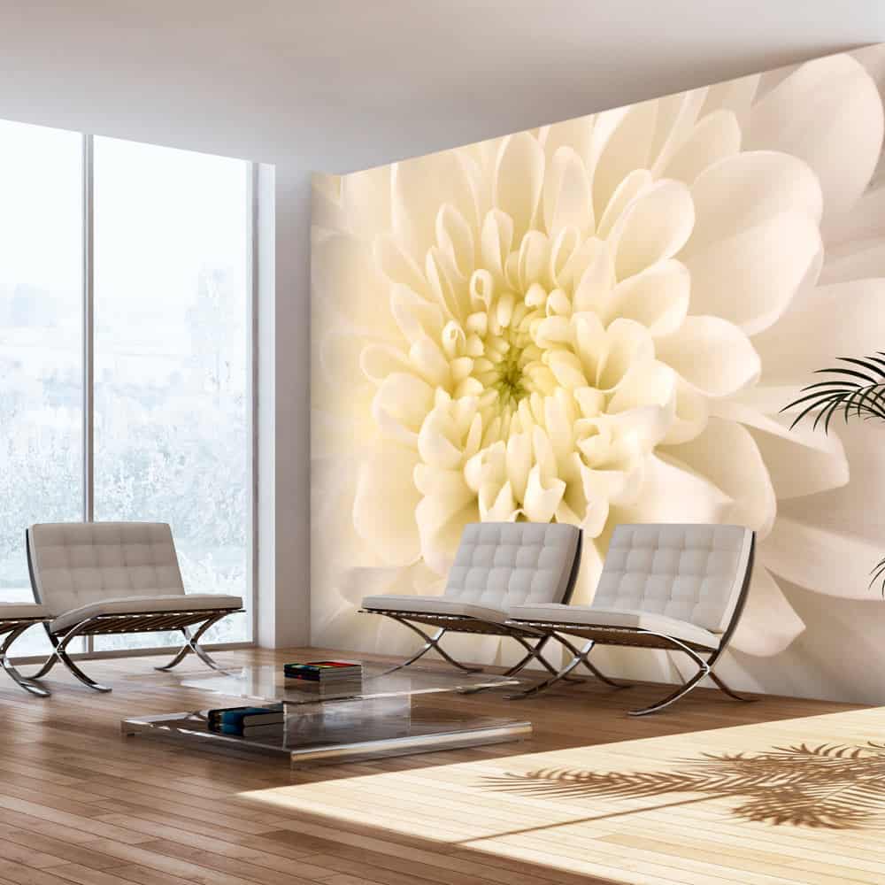 Fototapet Hvid dahlia